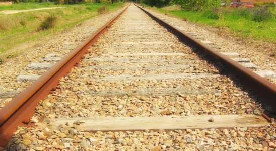 Vers une destinée toute tracée?