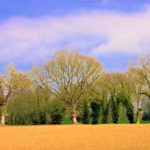 une vue de la Mayenne agricole - leglob-journal.fr