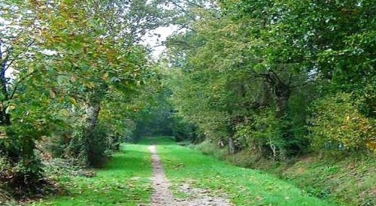 La campagne Mayennaise