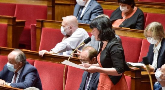 Géraldine Bannier dans l'Hémicycle