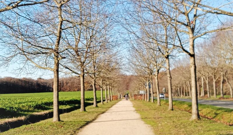 Le chemin de Kolbingen vu du rond point à l'entrée de l'Huisserie