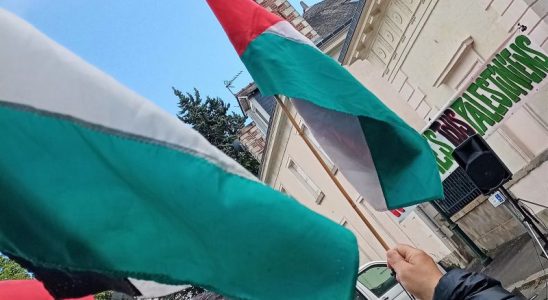 Gaza Palestine : Manifestation de soutien au peuple de Gaza - © leglob-journal.fr