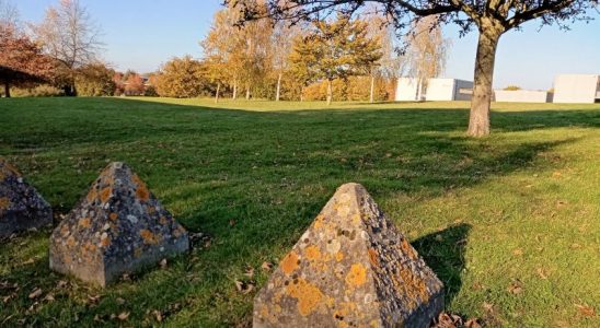 Le terrain où devrait être construit un batiment qui pourrait cueillir l'UCO comme locataire