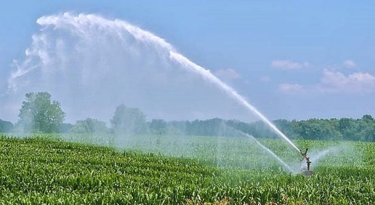 Arrosage intensif de champs de maïs en Pays de la Loire.