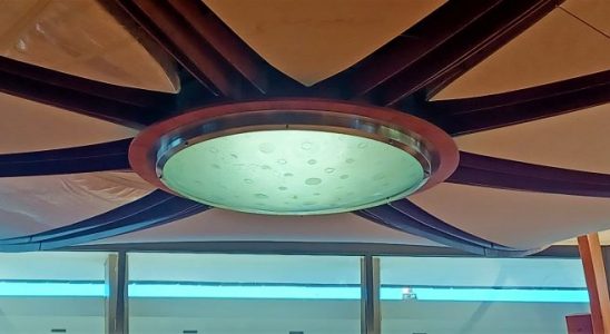 Le plafond de l'Assemblée départementale à Laval en Mayenne - photo leglob-journal.fr