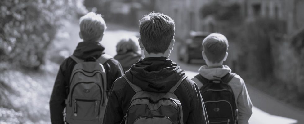 Des jeunes en Mayenne nt eu la parole grâce a Patrick Yarel. - Image Pixabay