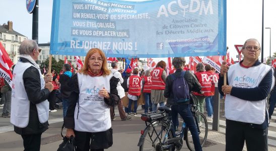 L'ACCDM; dans le cortege a Nantes _ leglob-journal.fr