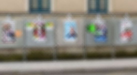 Des panneaux électoraux de la campagne des Municipales de 2020 - © leglob-journal.fr