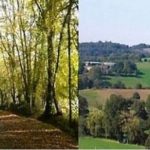 La Mayenne entre Chemin de randonnée et bocage © leglob-journal.fr