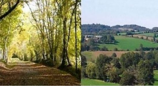 La Mayenne entre Chemin de randonnée et bocage © leglob-journal.fr