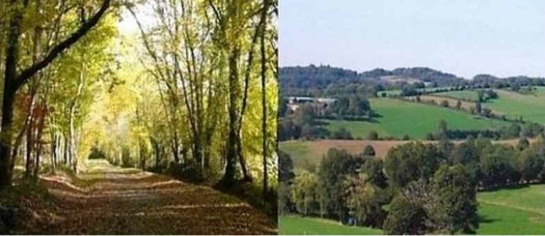 La Mayenne entre Chemin de randonnée et bocage © leglob-journal.fr