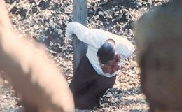 Capture cinéma Rayons et Ombres le film avec Jean Dujardin dans le rôle de Jean Luchaire fusillé