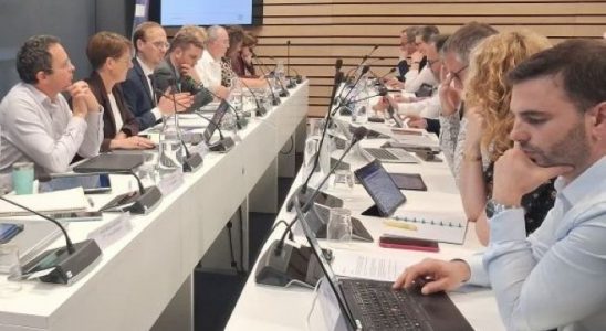 La nouvelle configuration de Laval Agglo avec ses nouveaux vice-présidents - © leglob-journal.fr