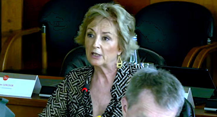Élisabeth Doineau intervenant au conseil départemental de la Mayenne le 22 juin 2026 – Capture écran Youtube CD53