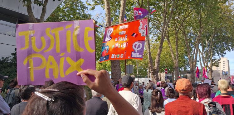 Lors de la marche contre le "permis de tuer" qui s'est arrêté devant le commissariat de Laval - © leglob-journal.fr
